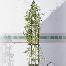 타카쇼 오벨리스크 철제 덩굴시렁 슬림 1.6m