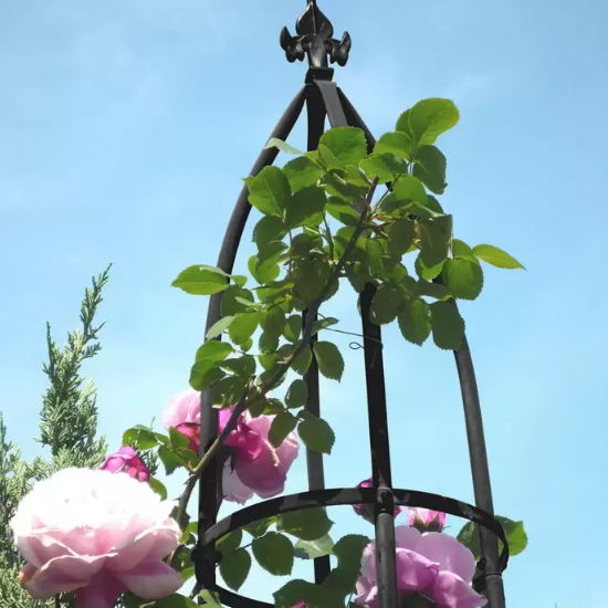 타카쇼 오벨리스크 철제 덩굴시렁 슬림 2.0m