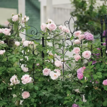 타카쇼 정원 장식용 가든 펜스 180cm 4개