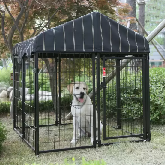 타카쇼 럭키독 야외용 펫 리조트 소형