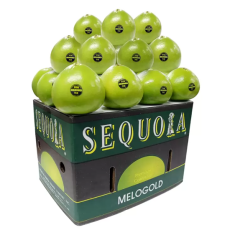 미국 메로골드자몽 16kg