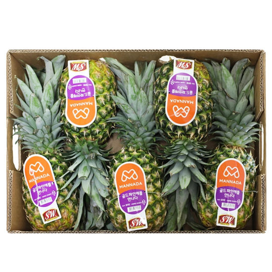 필리핀 골드 파인애플 12kg (5수)