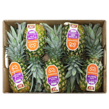 필리핀 골드 파인애플 12kg (5수)